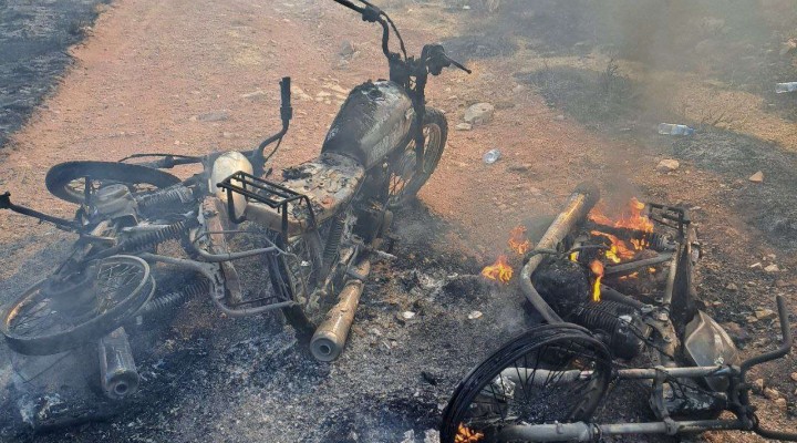 🔥 آتش‌سوزی گسترده در مراتع قشلاق و منصورآقایی مهار شد