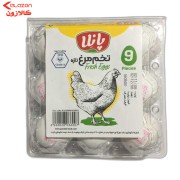 تخم مرغ 9عددی پانلِا