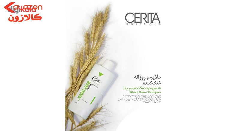 پک فوم کاشت مو و شامپو جوانه گندم سریتا مدل Hair مجموعه 2 عددی