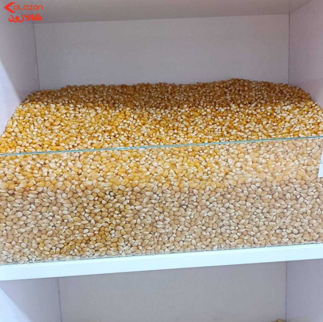 ذرت خام درجه یک فروش به صورت نیم کیلو