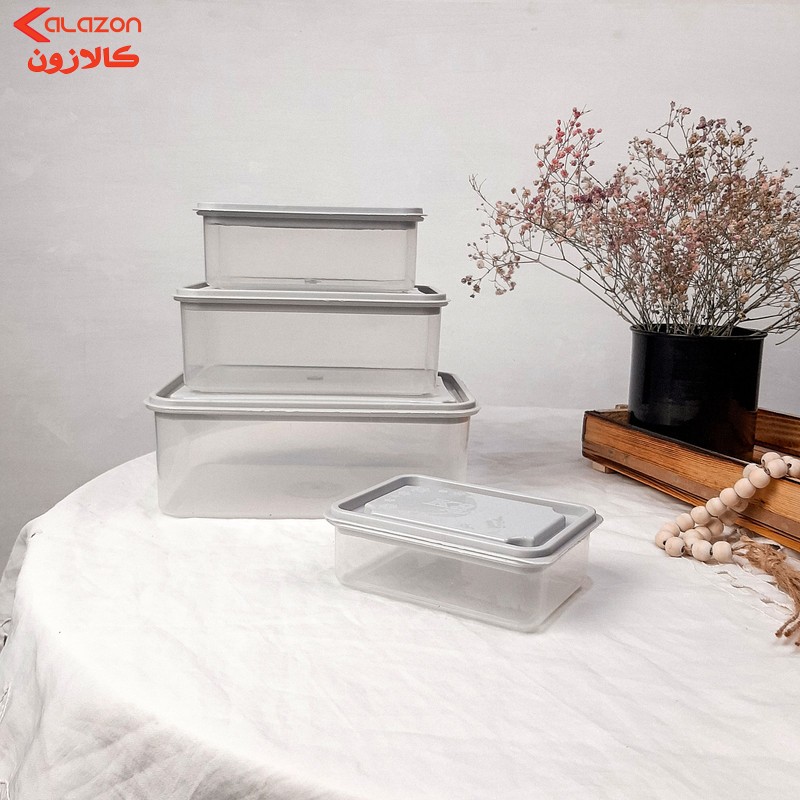 ظروف نگهدارنده کاوه پلاست مدل PN1006T مجموعه 4 عددی